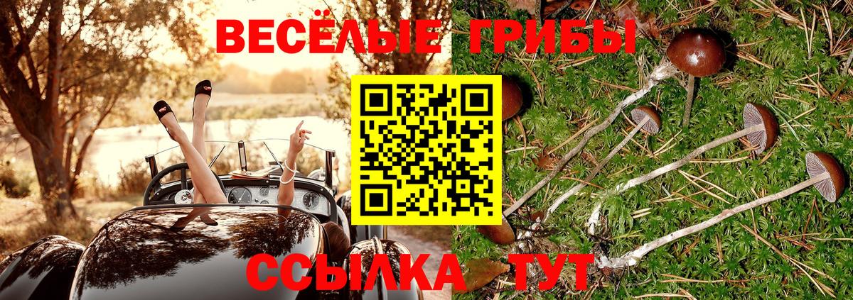 Липецк  Псилоцибиновые грибы Psilocybine cubensis  Вход с VPN 